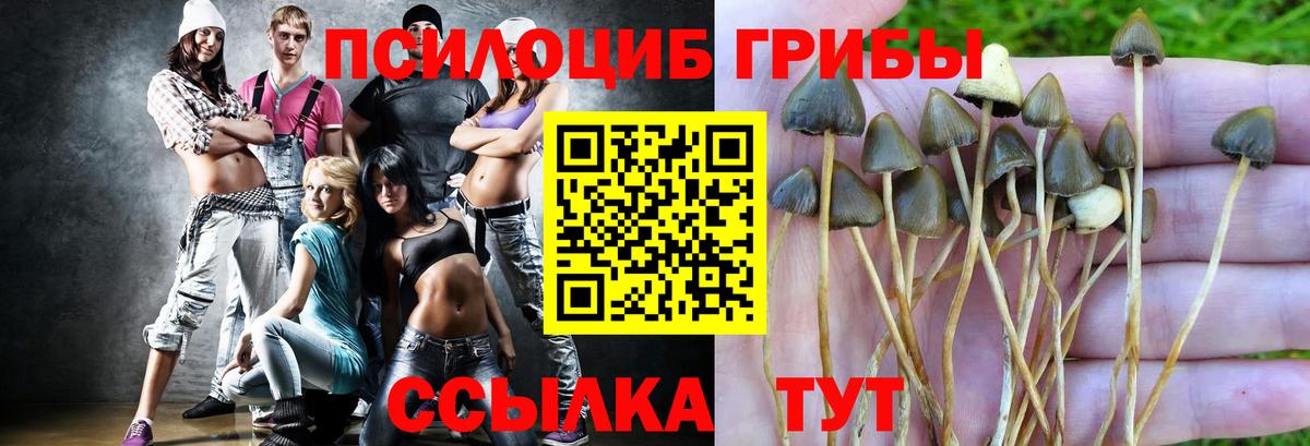 Галлюциногенные грибы мухоморы Карталы